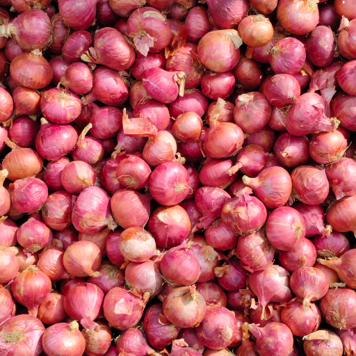 Onion  vegetables-https://s3.ap-south-1.amazonaws.com/prod-media-vyaparify-com/vcards/products/365831/product_1758952534_68d77c56a4996.png Image