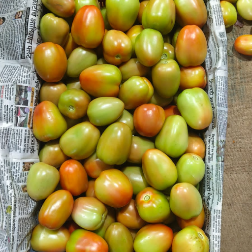 Export quality Tometo-https://s3.ap-south-1.amazonaws.com/prod-media-vyaparify-com/vcards/products/365838/product_1758952960_68d77e0088468.png Image