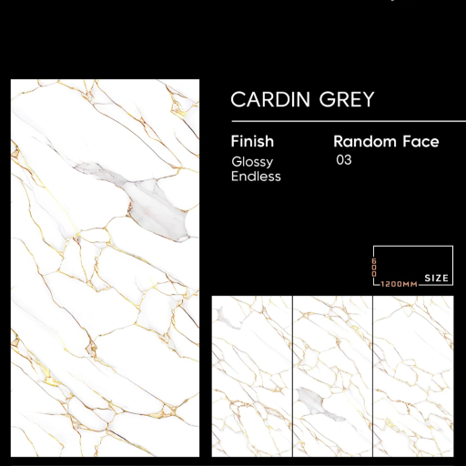  Pgvt glossy tiles BLUE BIRD TILES PLOT NO 143B