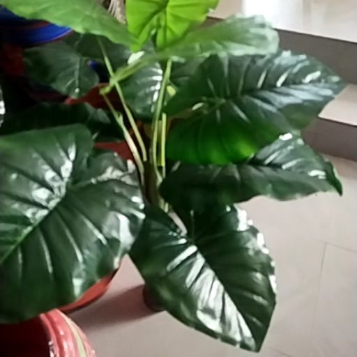 artificial mani plant tree-https://s3.ap-south-1.amazonaws.com/prod-media-vyaparify-com/vcards/products/376449/product_1759918862_68e63b0e4a16d.png Image
