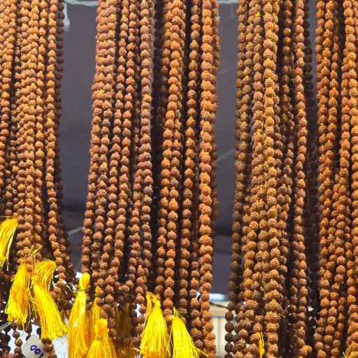  rudraksh mala with 108 dana ROHIT SHYAM GANGAPUTRA Shri Prasad