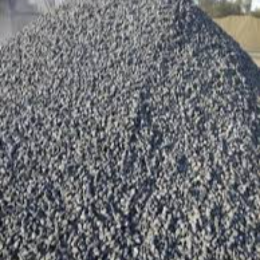  All type of grit and crusher for building KIRAT BUILDING MATERIAL C O Kirat Building  Material Near  Bright Steps Play School Plot No 2 Ridhi Sidhi Nagar 120 Ft Road Borkhera Kota