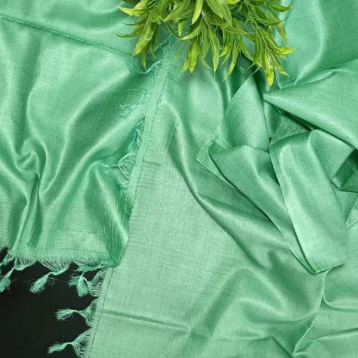 Tussar Munga silk Dupatta-https://s3.ap-south-1.amazonaws.com/prod-media-vyaparify-com/vcards/products/431819/product_1764397783_692a92d7b5854.png Image