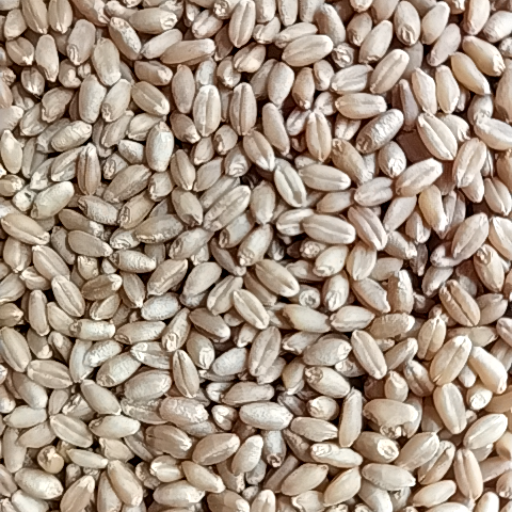  Wheat JAGAPATHY ENTERPRISES S.No.22, Dwaraka Niwas,Near Jijamata Chowk, Balajinagar, Pune City.