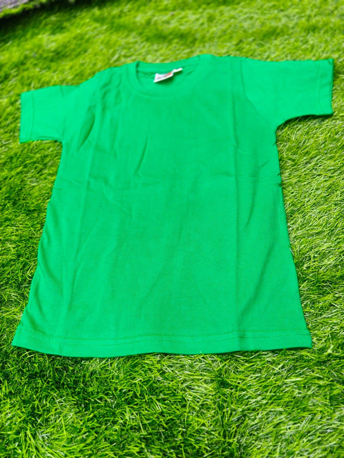 Green Cotton T-Shirt in Mumbai: Casual Comfort Wear-https://s3.ap-south-1.amazonaws.com/prod-media-vyaparify-com/vcards/products/444256/product_1765187482_69369f9a87c0d.png Image
