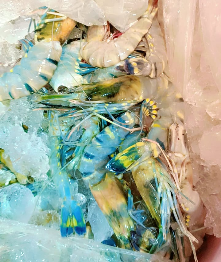  Seafood/Blue Crabs in Kharghar: Delicious and Nutritious Meal CHANDRAKALA SURESH NIKAM C O CHANDRAKALA SURESH NIKAM FLAT NO 703 A WING KRISHAY CHS PLOT NO 17 SECTOR 35 KAMOTHE