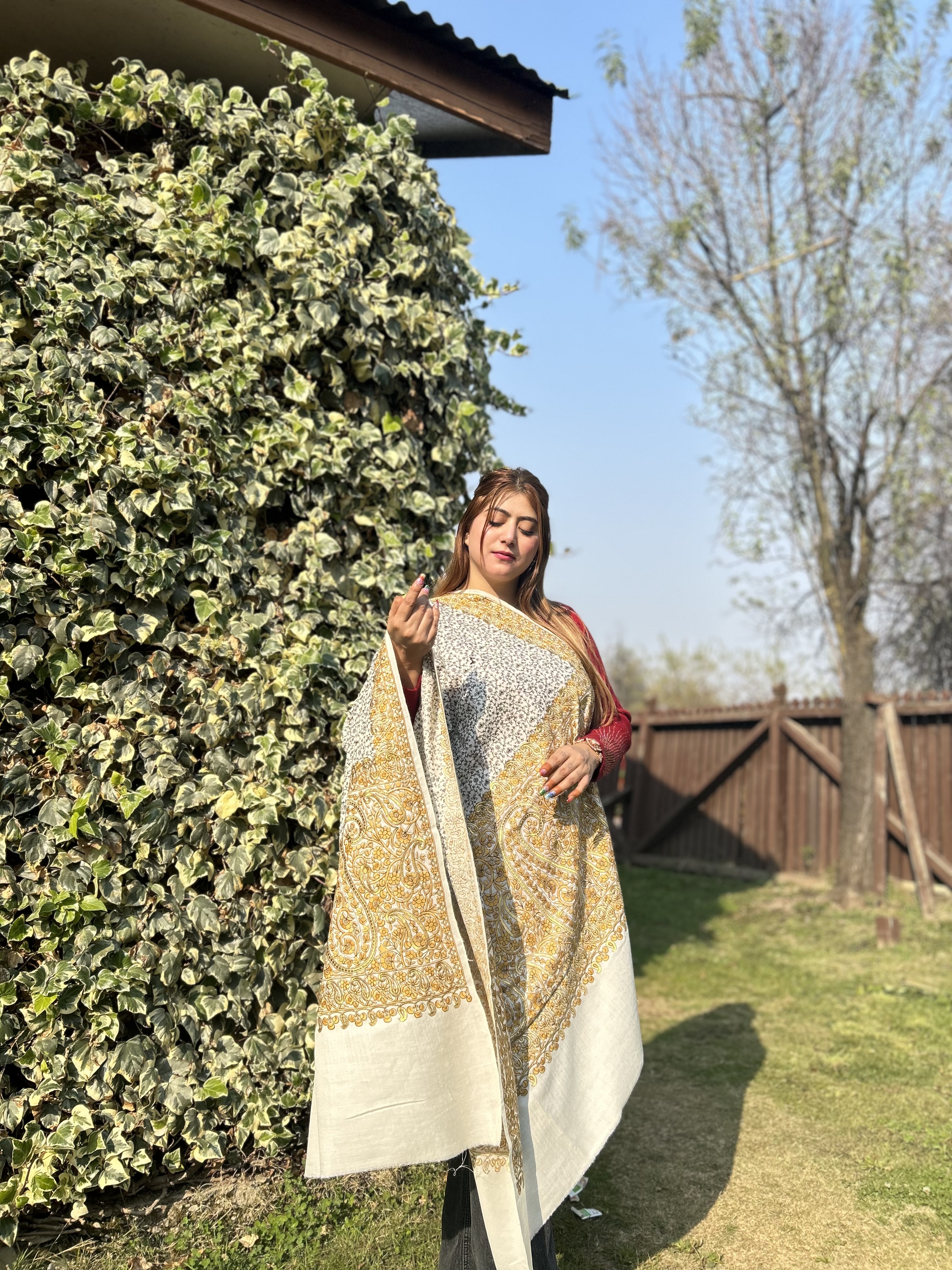 Jaali paldar shawl-https://s3.ap-south-1.amazonaws.com/prod-media-vyaparify-com/vcards/products/61843/IMG_9315.jpeg Image