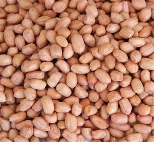 Peanut-https://s3.ap-south-1.amazonaws.com/prod-media-vyaparify-com/vcards/products/98663/Natural-Raw-Peanuts-500g-419637695.jpg Image