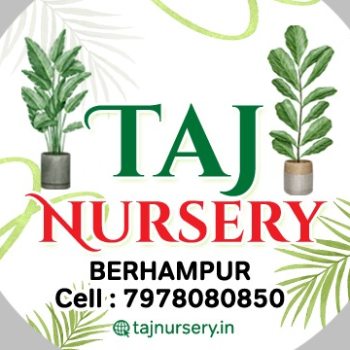 TAJ NURSERY