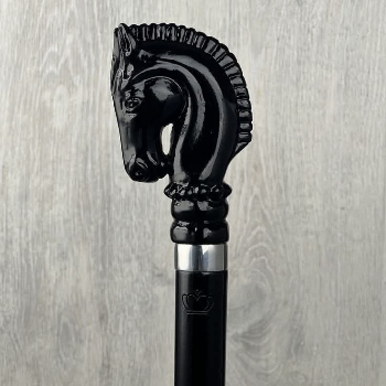 Mohammad Aslam Raees