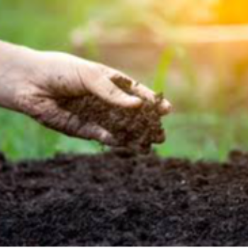 soil testing micro VIDHARBHAFARMS AGRO PRODUCER COMPANY LTD C/O  BAPURAO WANKHEDE AMANPUR, TQ UMARKHED, Maharashtra, 445206