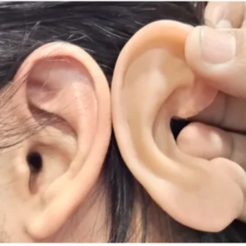 Ear prosthesis CARE TOUCH VISION CENTRE 439B 202  MALIHABAD ROAD  THAKUR GANJ