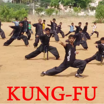 KUNG FU J R MANJUNATHA 1ST FLOOR GVS RESIDENCY OPP LAKE MONTFORT SCHOOL KURUDOSONENAHALLI K R PURAM VIRGONAGAR MEDAHALLI RESIDENCY OPP LAKEMONTFORT SCHOOL KURUDOSONENAHALLI K R PURAM VIRGONAGAR MEDAHALLI
