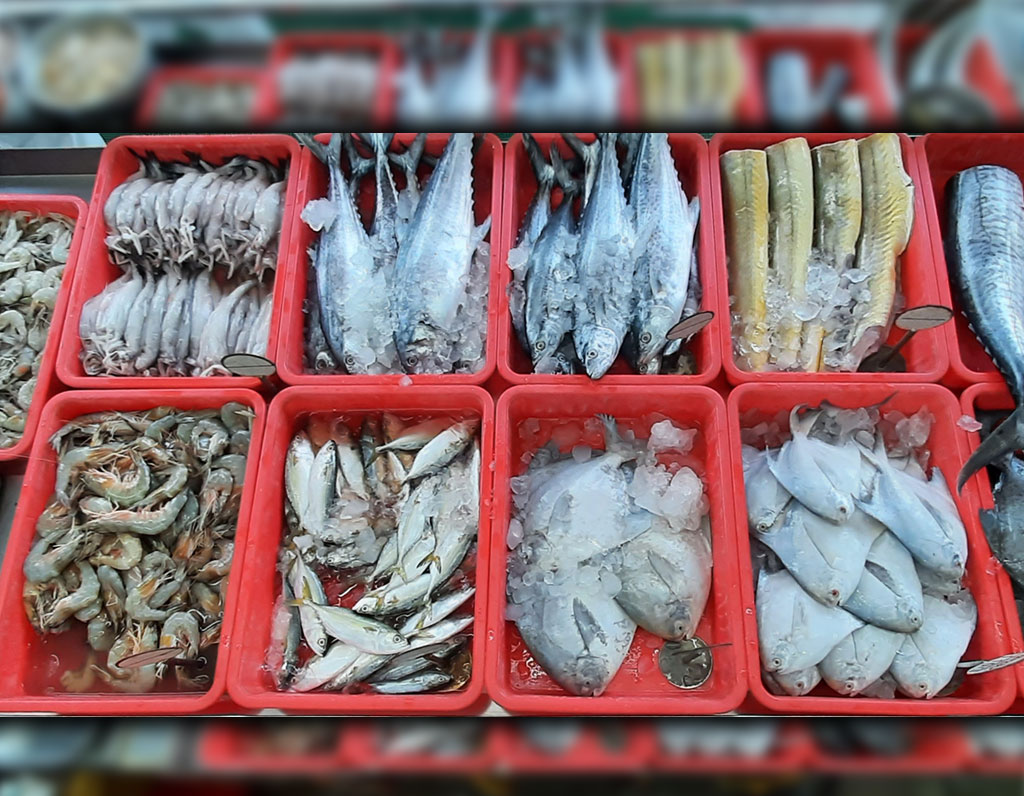 Home Delivery of Fresh Fish! D.L. TARU FISH MERCHANT 1278, Veer Santaji Ghorpade Rd, Kasba Peth, Pune, Maharashtra 411011, India