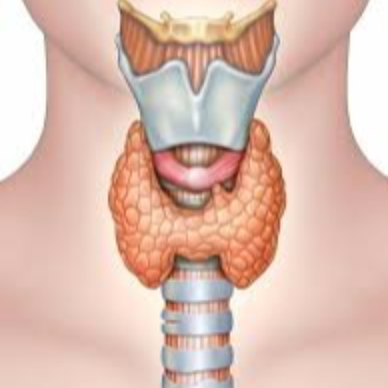 blood test TAKSHVI DIAGNOSTIC CENTRE BLOCK E 2 4TH 402 ARON ELEGANCE OPP RADHEY BUNGLOWS NEW AHMEDABAD 382424