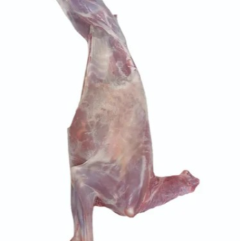 SHAIK AZAM | WHOLESALE MUTTON  ( MALE )
