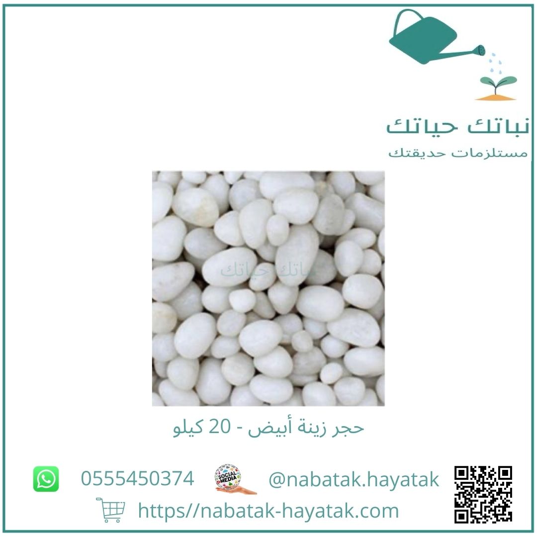 حجر زينة أبيض - 20 كيلو