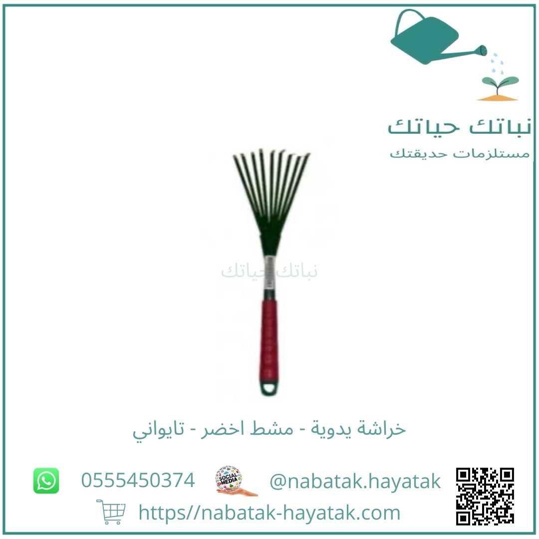 خراشة يدوية - مشط اخضر - تايواني