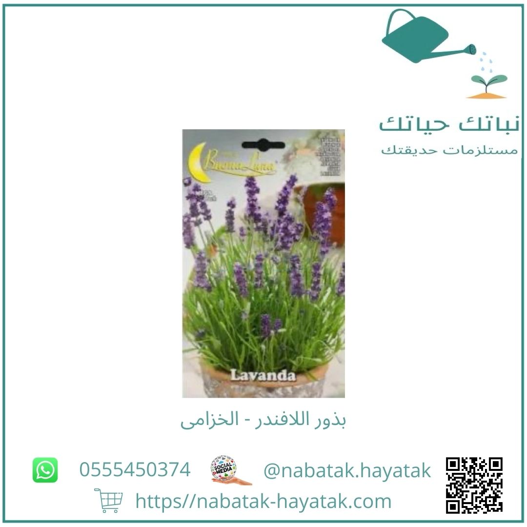 بذور اللافندر - الخزامى