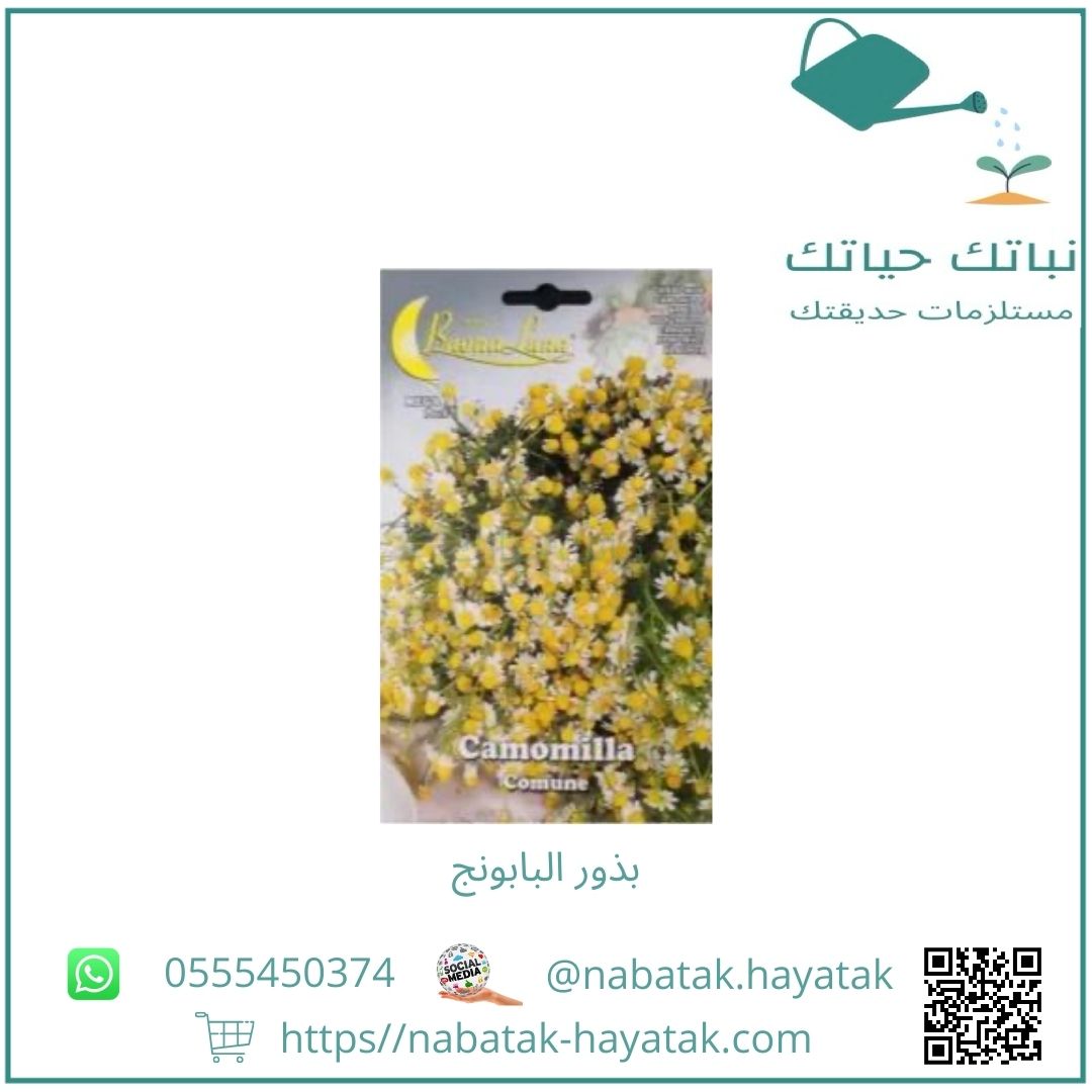 بذور البابونج