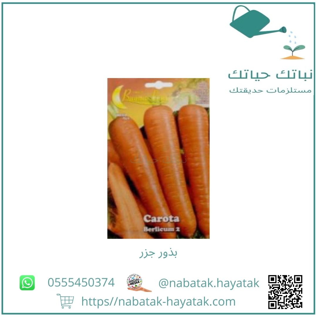 بذور جزر