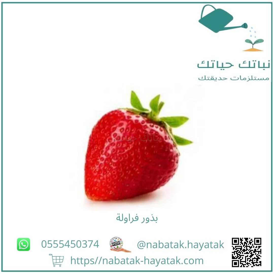 بذور فراولة