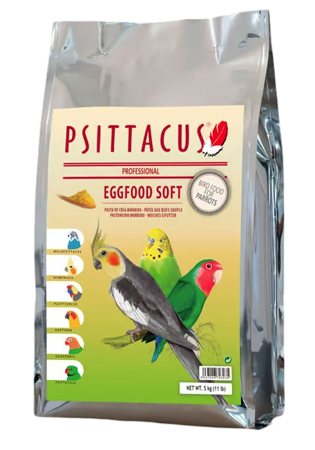 باتية بيض ناعم باتيه SOFT EGGFOOD