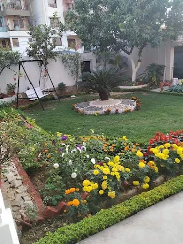 1 BHK Flat for Rent in Koregaon Park