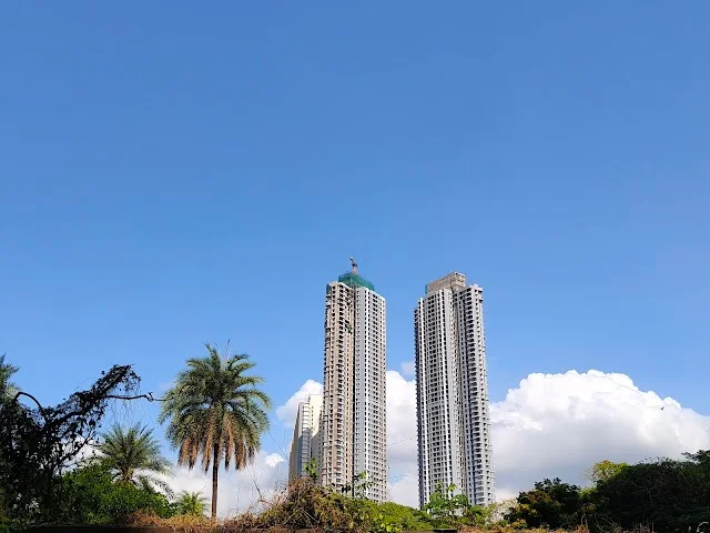 1 BHK Commercial Space for Rent in Wagle Estate