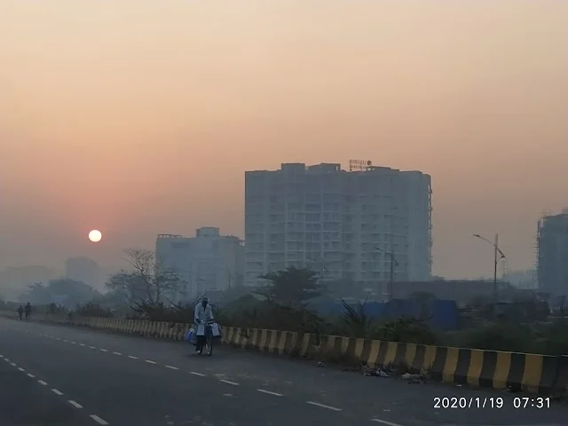 1 BHK Flat for Sale in Karanjade