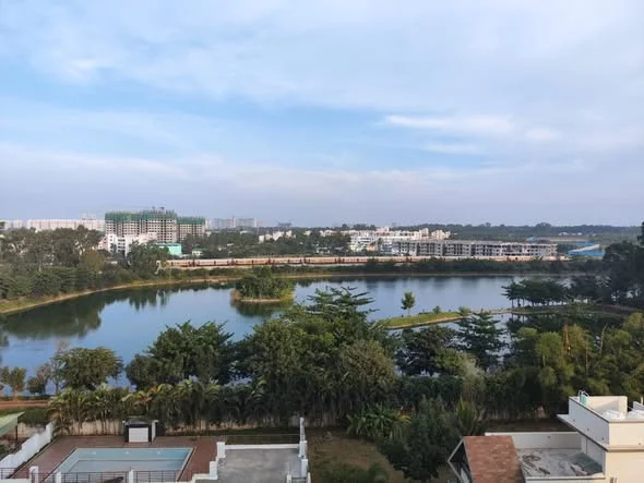 1 BHK Flat for Rent in 3rd Cross