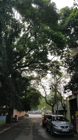 2 BHK Flat for Rent in Mumbai