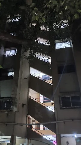 1 BHK Flat for Rent in Viman Nagar