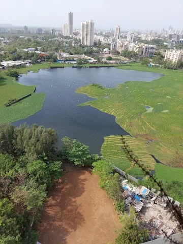 1.5 BHK Flat for Sale in Jankalyan