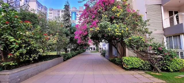 2 BHK Flat for Rent in Whitefield,kadugodi