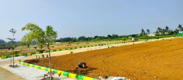 Residential Plot for Sale in Hoskote