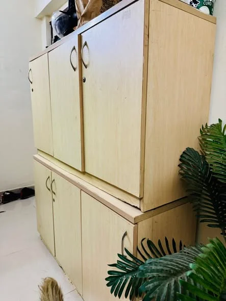 Double Occupancy in 2 BHK Flat for Rent NEAR By teleperformance JP Morgan MALAD -W LINK ROAD Kandivali Ekta nagar