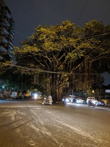 3 BHK Flat for Rent in Langford Garden