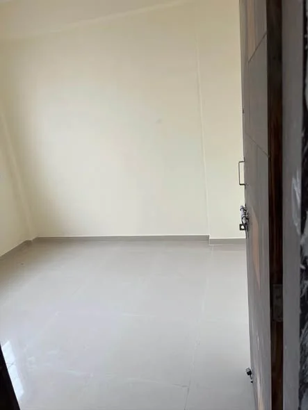 1 BHK Flat for Rent in Hinjawadi