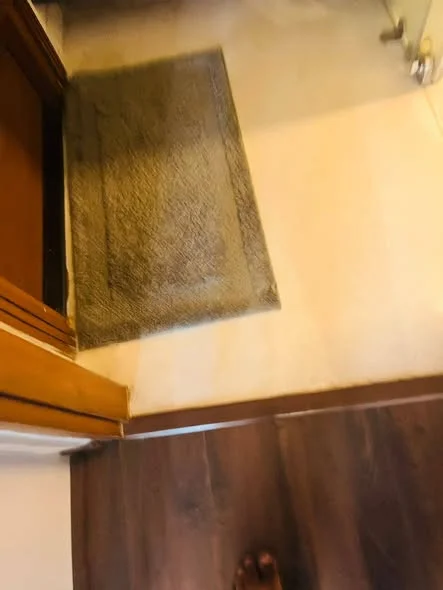 4 BHK Flat for Rent in Kavuri hills (Hi-tech city / Madhapur)