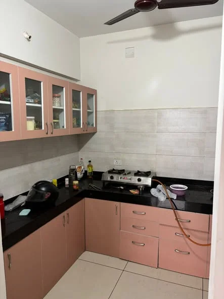 1 BHK Flat for Rent in Kharadi