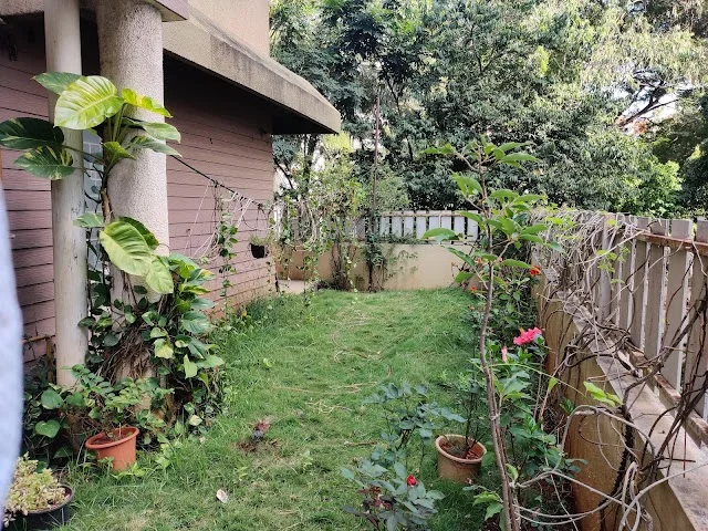 2 BHK Flat for Sale in Mumbai