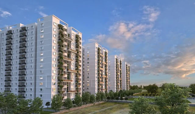 Single Occupancy in 1 BHK Flat for Rent in Uber Verdant Phase 1