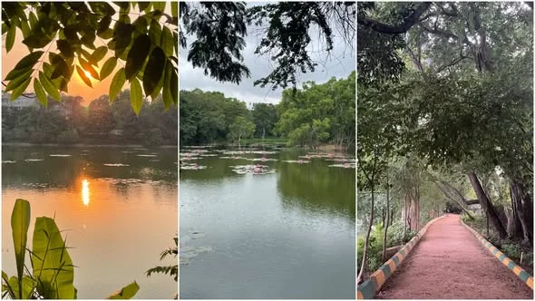 Single Occupancy in 3 BHK Flat for Rent in SJR Park Vista