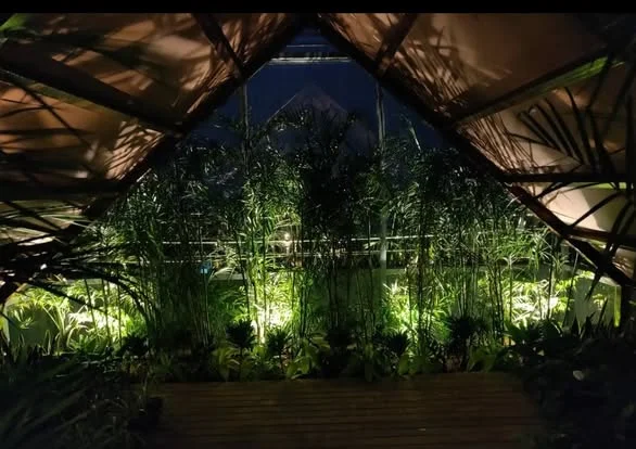 1 BHK Flat for Rent in Electronic City Phase 1