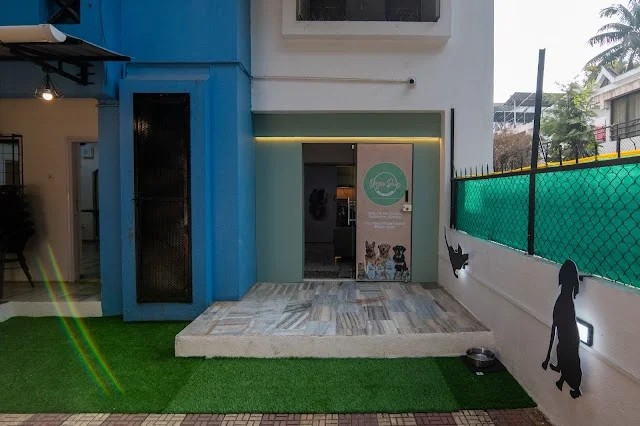 1 BHK Flat for Rent in Viman Nagar