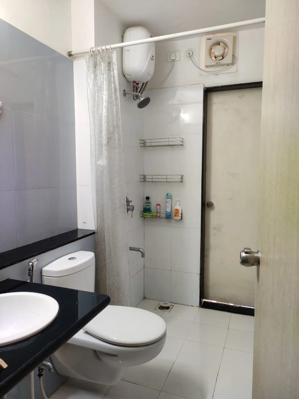 1 BHK Flat for Rent in Hinjewadi Phase 1