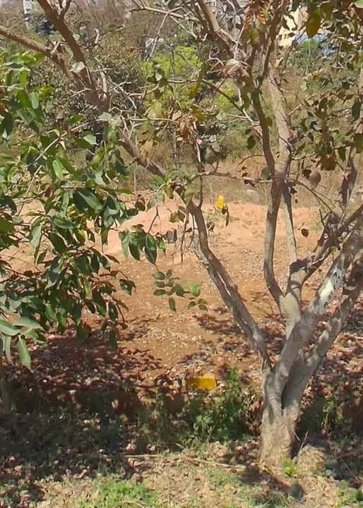 Residential Plot for Sale in Bda 1st block 20x30 east facing anjenapura 558 site number back side drinage line buffer zone