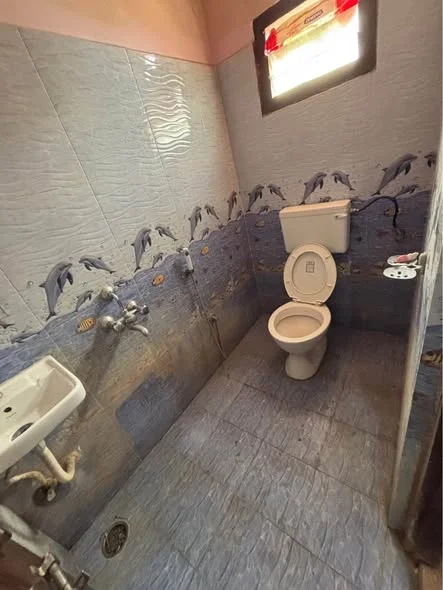 2 BHK Flat for Rent in Kondapur Botanical Garden AMB Mall Road Side