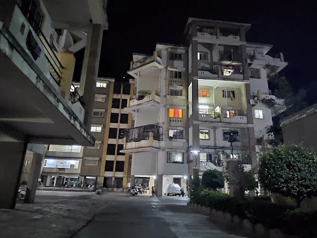 1 BHK Flat for Rent in Hadapsar